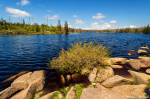 mountain, lake, summer, harz, woods, forest, tree, mountain lake, germany, 2024, photo