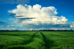 summer, storm, fields, cloud, rainbow, leipzig, germany, 2022, photo