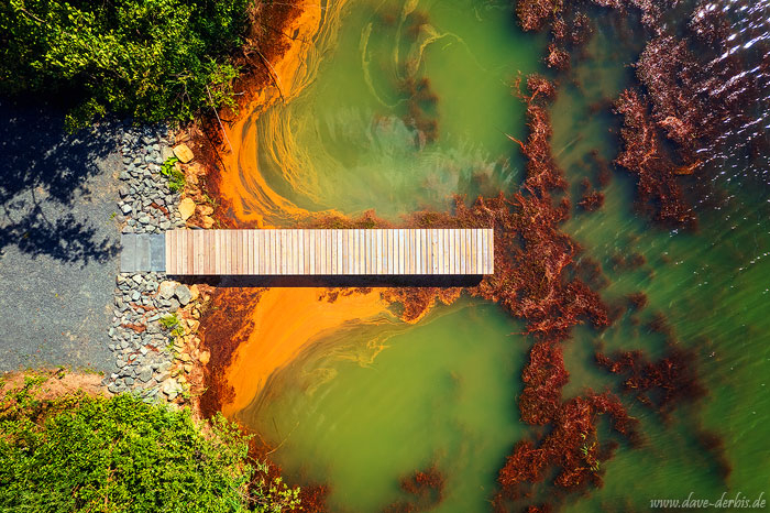 summer, lake, drone, aerial, topdown, jelly, leipzig, germany, 2022, photo