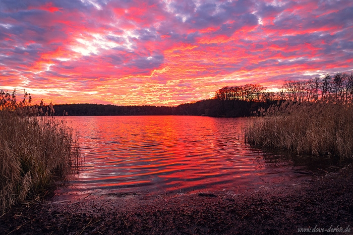 sunset, lake, pink, light, reflection, winter, germany, 2020, photo