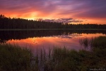 sunset, lake, reflection, forest, summer, calm, mirror, norway, 2017, Sweden, photo