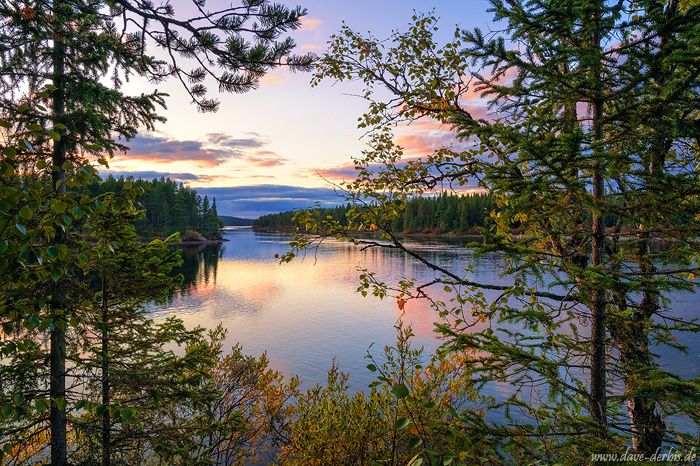 river, sunset, forest, tree, reflection, arctic, lapland, wilderness, sweden, 2024, photo