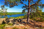 view, vista, forest, woods, wilderness, countryside, summer, sweden, 2023, photo