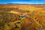 aerial, drone, autumn, taiga, forest, woods, wilderness, arctic, sweden, 2024, photo