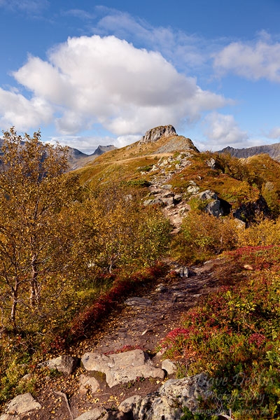 mountain, summit, autumn, svolvaer, lofoten, norway, photo