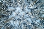 harz, winter, snow, forest, drone, aerial, from above, topdown, germany, 2021, Best Landscape Photos of 2021, photo
