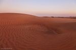 sunset, dunes, el oasis, maspalomas, gran canaria, desert, spain, Spain, photo