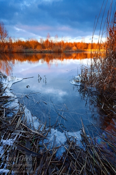 lake, winter, sunset, leipzig, frozen, reed, shoreline, germany, 2013, photo