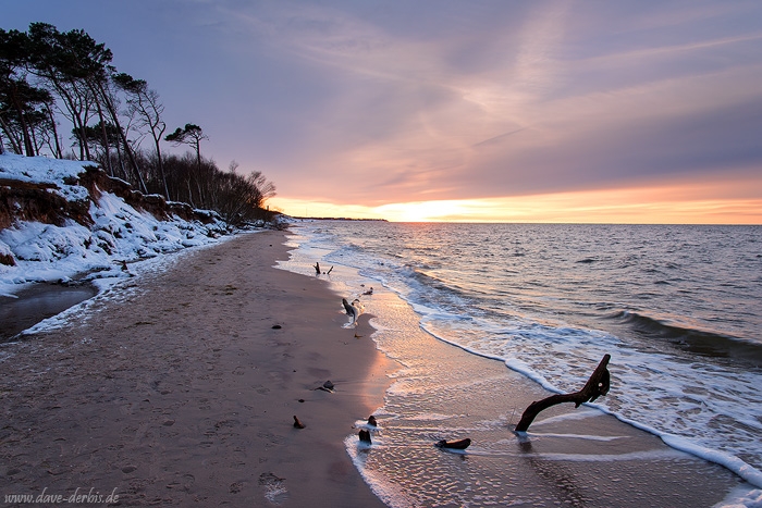 beach, winter, snow, sunset, coast, baltic sea, germany, photo