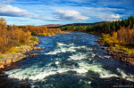 river, stream, cascade, autumn, forest, woods, wilderness, sweden, 2024, photo
