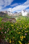 meadow, alpes, mountain, hohe tauern, national park, austria,, Austria, photo