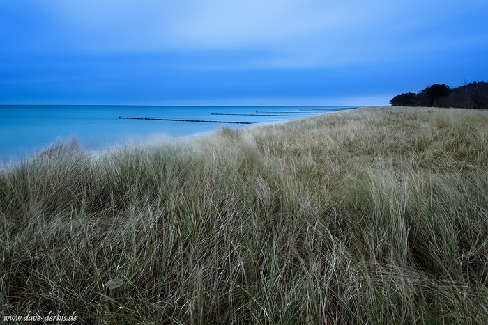 ocean, baltic sea, darss, winter, long exposure, beach, blue hour, germany, photo