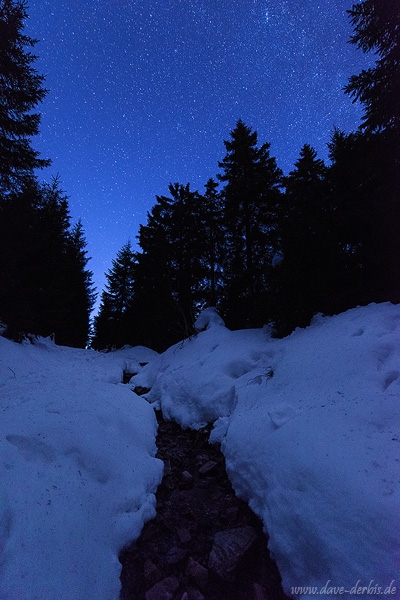 forest, winter, snow, harz, night, stars, stream, germany, photo