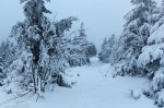 winter, hiking, wolfswarte, harz, snow, nationalpark, Winterwanderung / Fototour zur Wolfswarte im Winter - Harz, photo