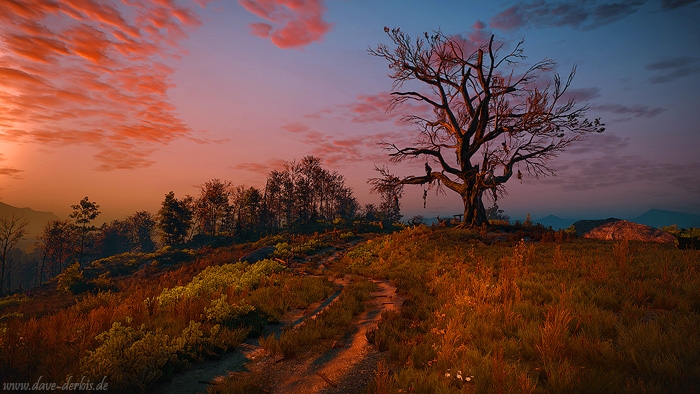 witcher 3, game, ingame, photography, screenshot, skellige, 2016, photo