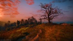 witcher 3, game, ingame, photography, screenshot, skellige, 2016, Witcher - The Wild Hunt, photo