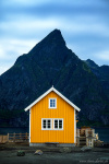 Yellow Mountain Cabin Photo cabin, hut, mountain, blue hour, arctic, coast, lofoten, north, norway, 2024, The Great North, photo