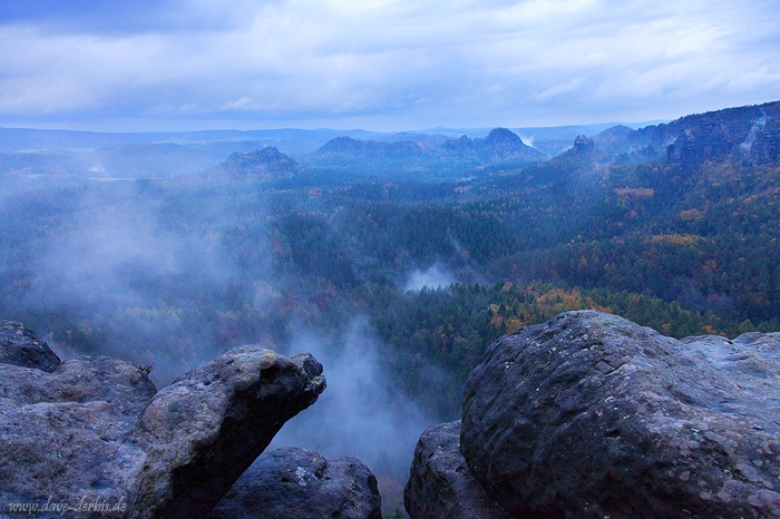 forest, sunset, blue hour, autumn, saxon switzerland, germany, photo